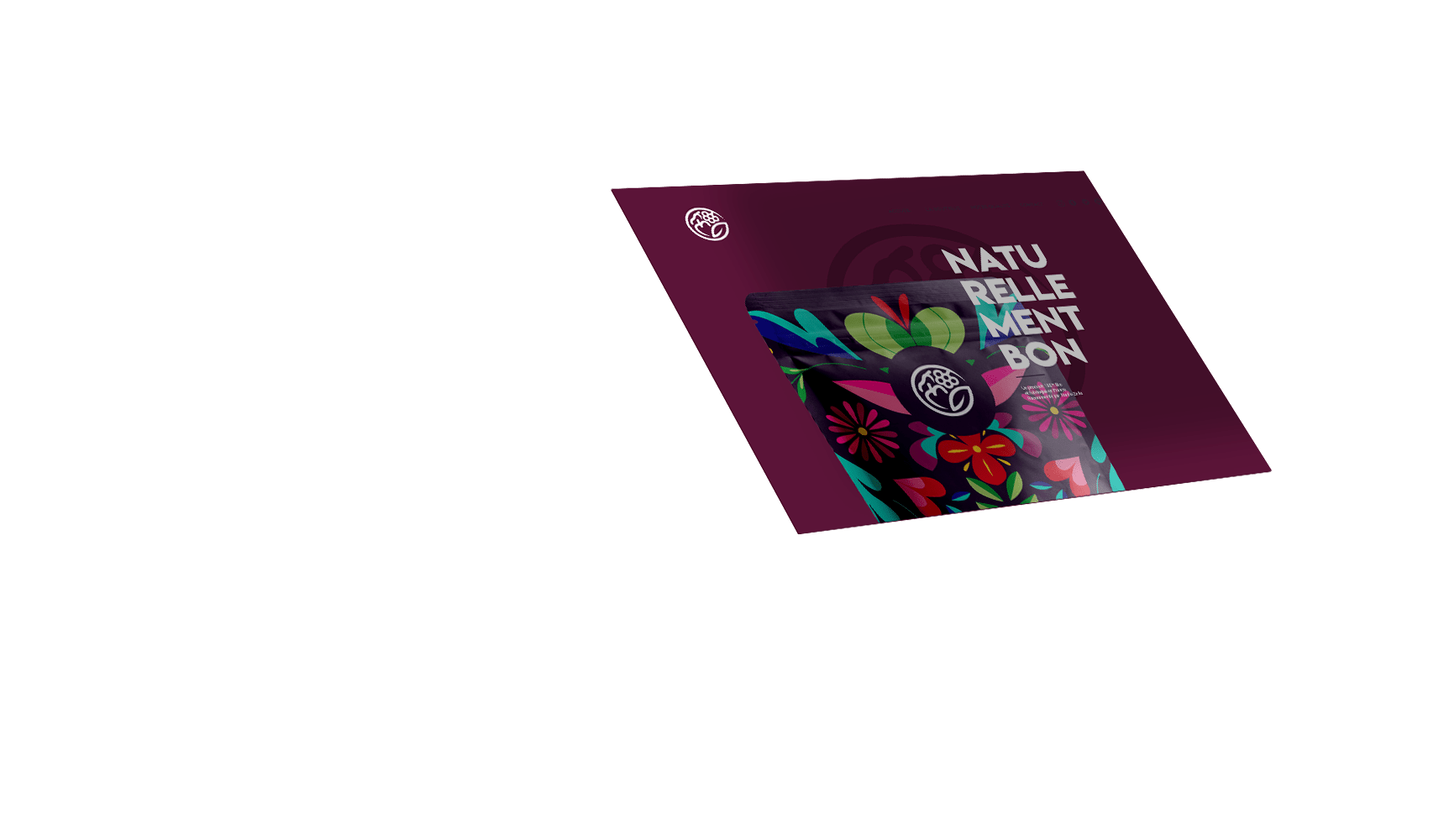 Experts en Graphisme et Site Internet